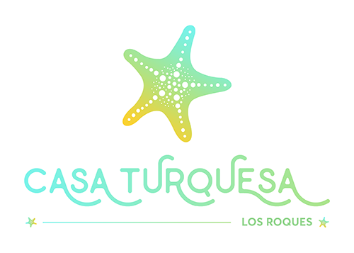 20240118 casaturquesa logo colores fondo blanco